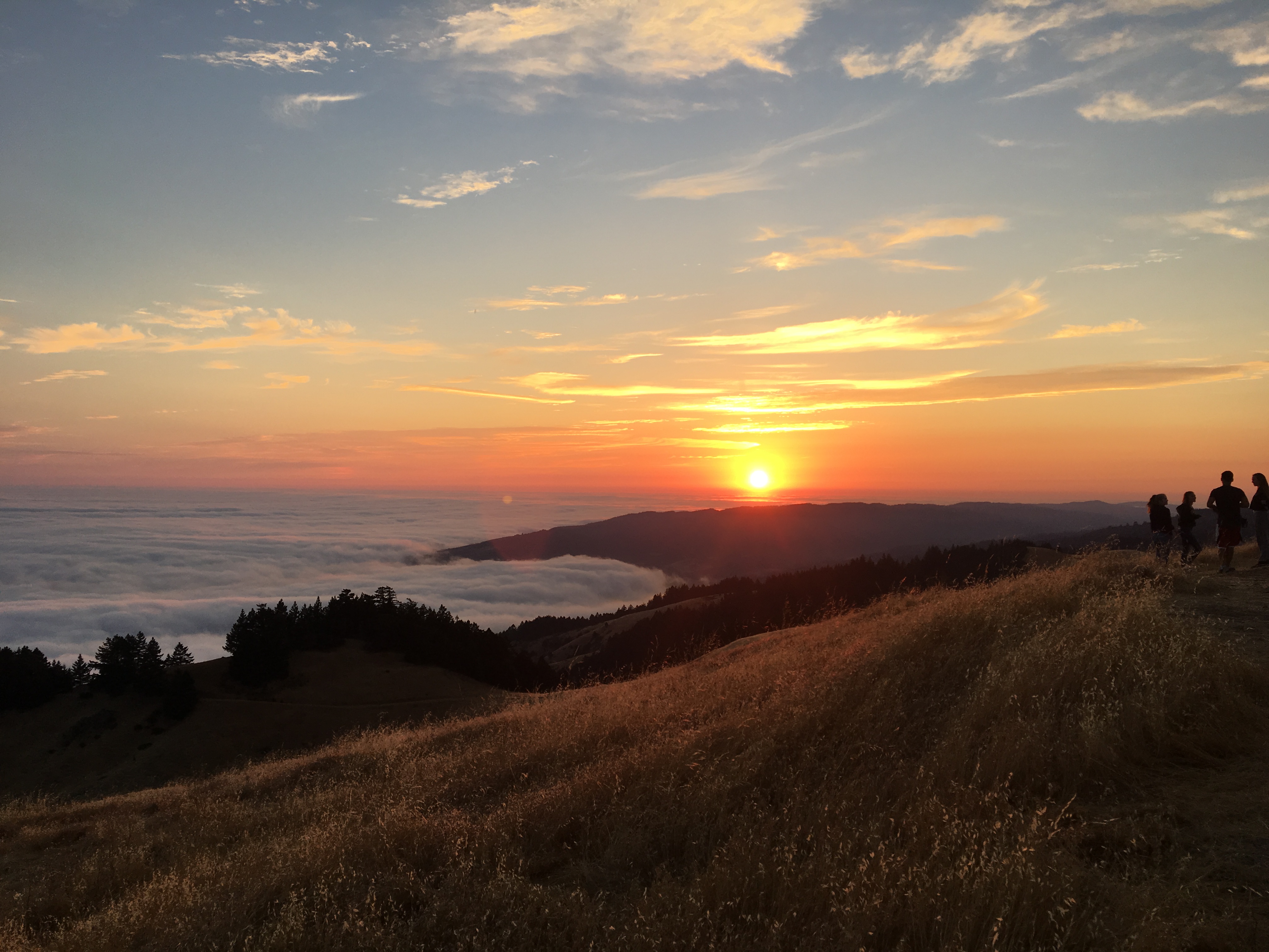 Mt.Tamalpais